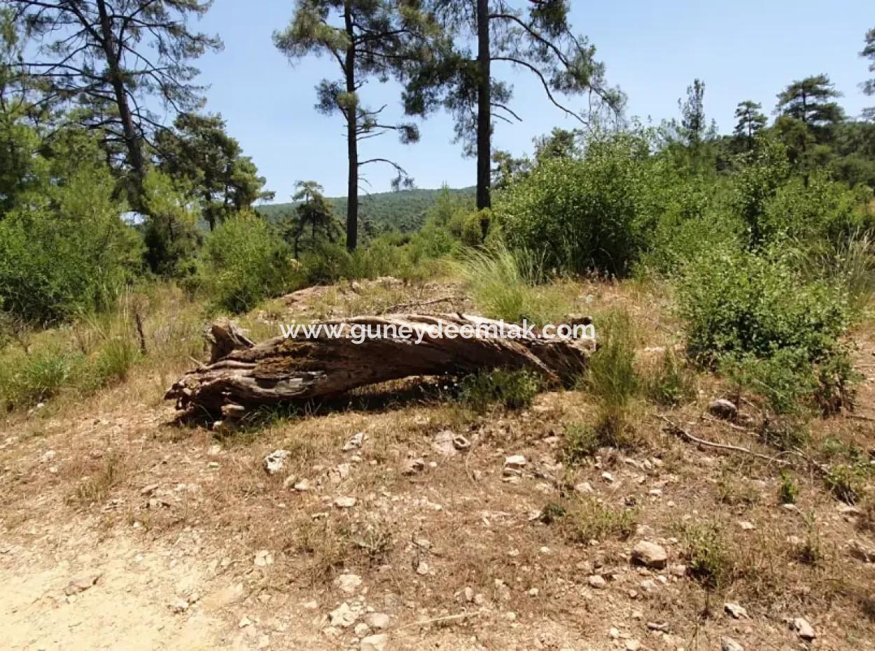 3031 M2 Detached Field For Sale In Mugla Menteşe Denizova