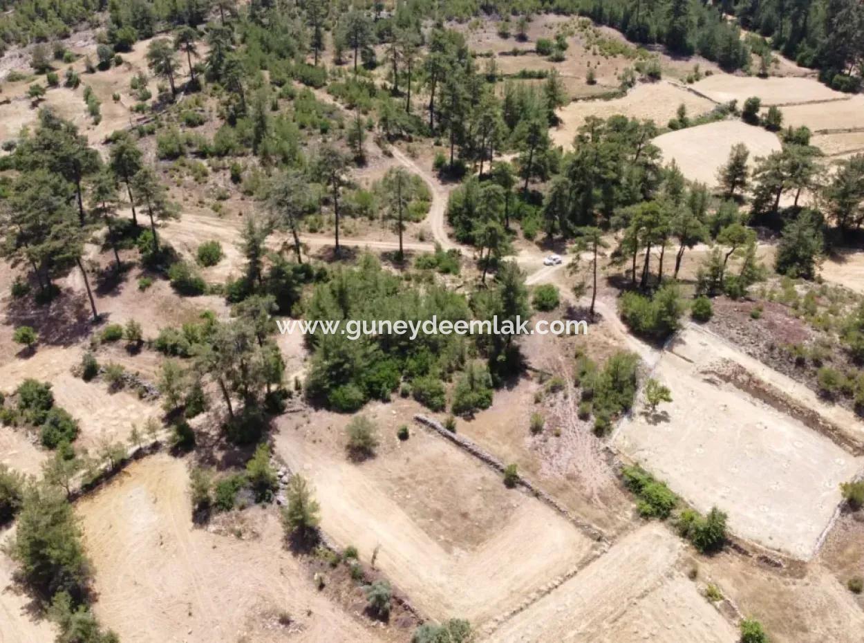 3031 M2 Detached Field For Sale In Mugla Menteşe Denizova