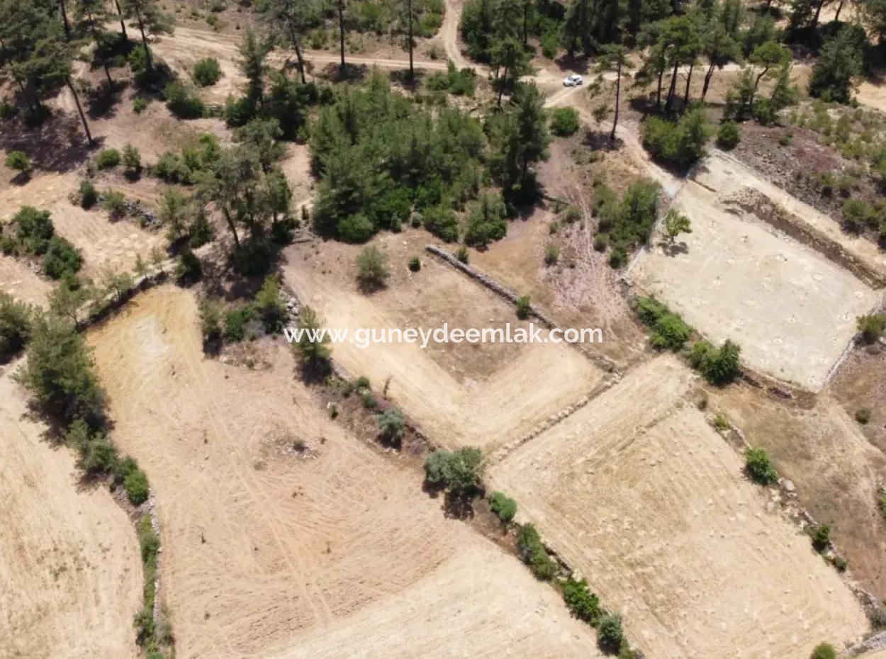 3031 M2 Detached Field For Sale In Mugla Menteşe Denizova