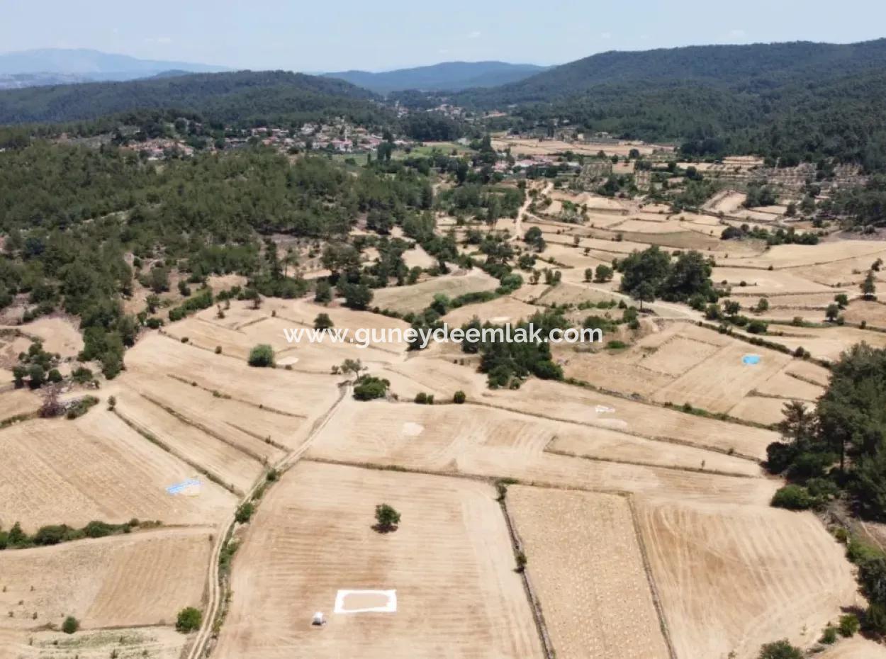 3031 M2 Detached Field For Sale In Mugla Menteşe Denizova