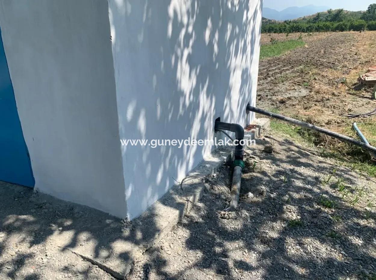 7300 M2 Lemon Field For Sale In Mugla Ortaca Tepearasi