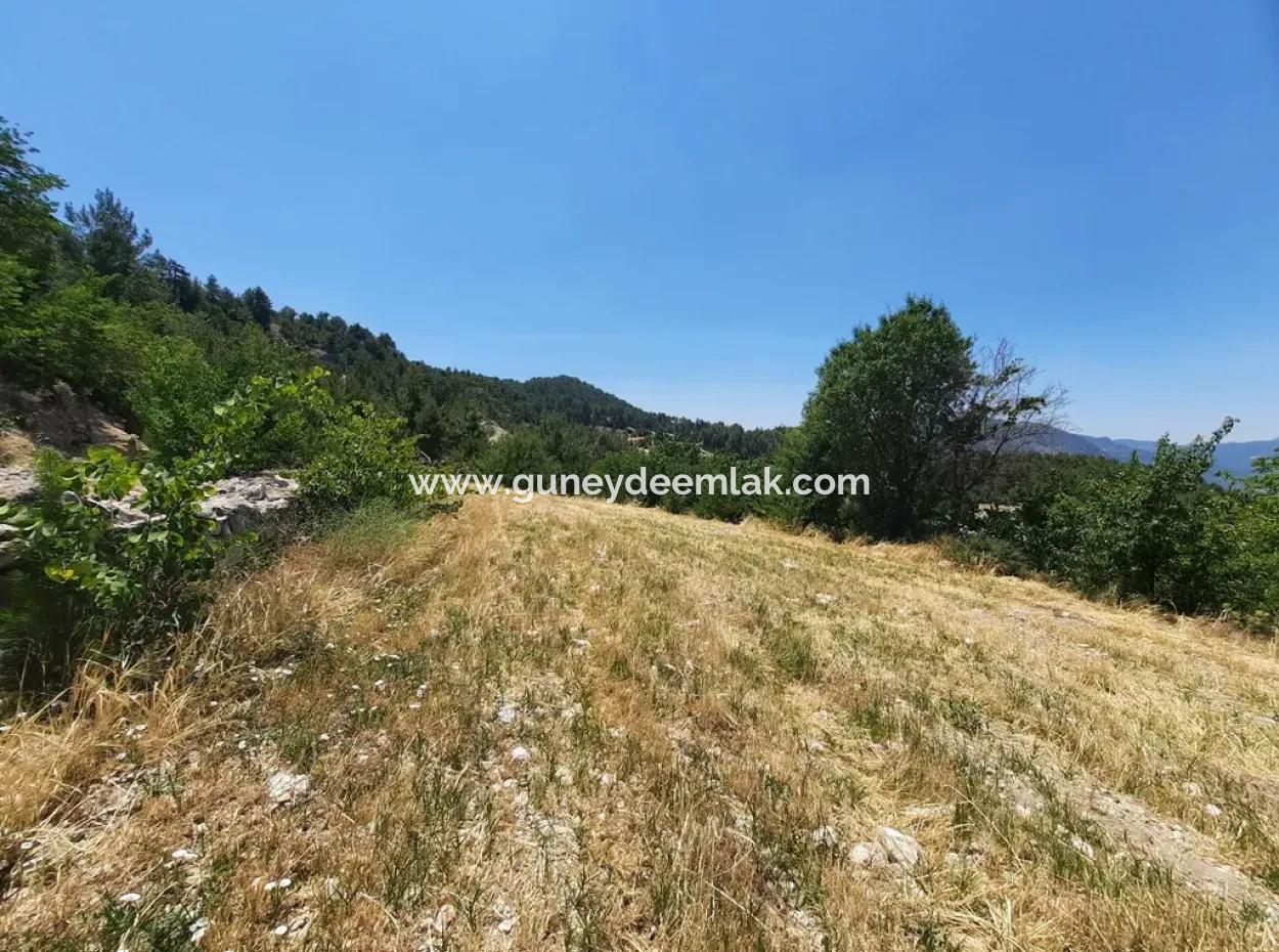 Denizli Çameli Gökçeyaka 2762 M2 Detached Land For Sale