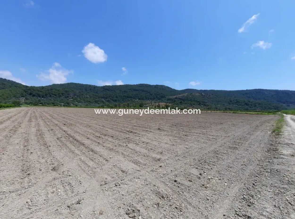 Fertile Land For Rent In Ortaca Güzelyurt