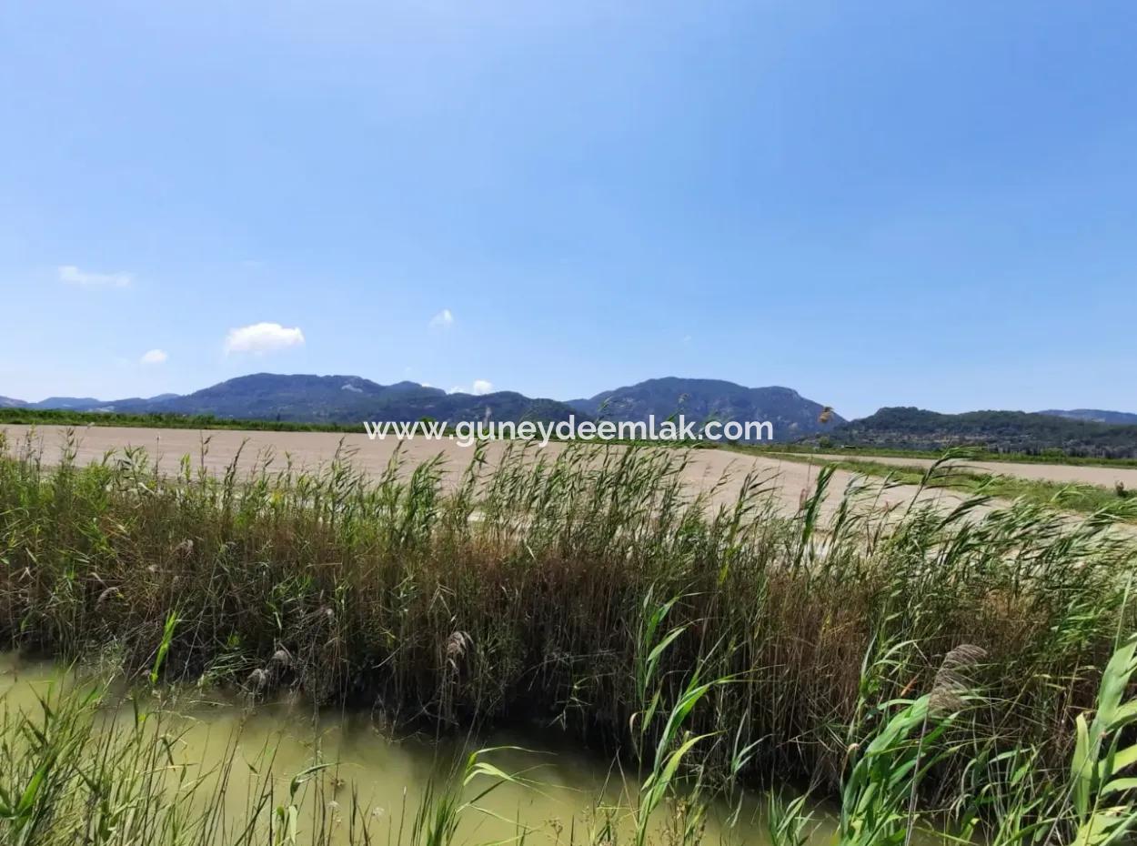 Fertile Land For Rent In Ortaca Güzelyurt