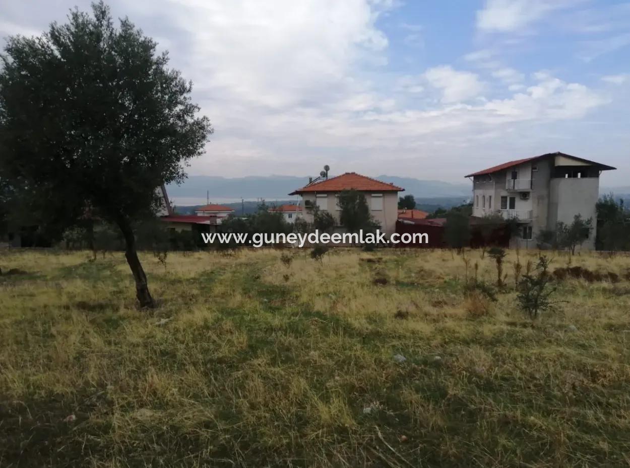 2788 M2 Field With Lake View For Sale In Mugla Köyceğiz Zeytinalanı