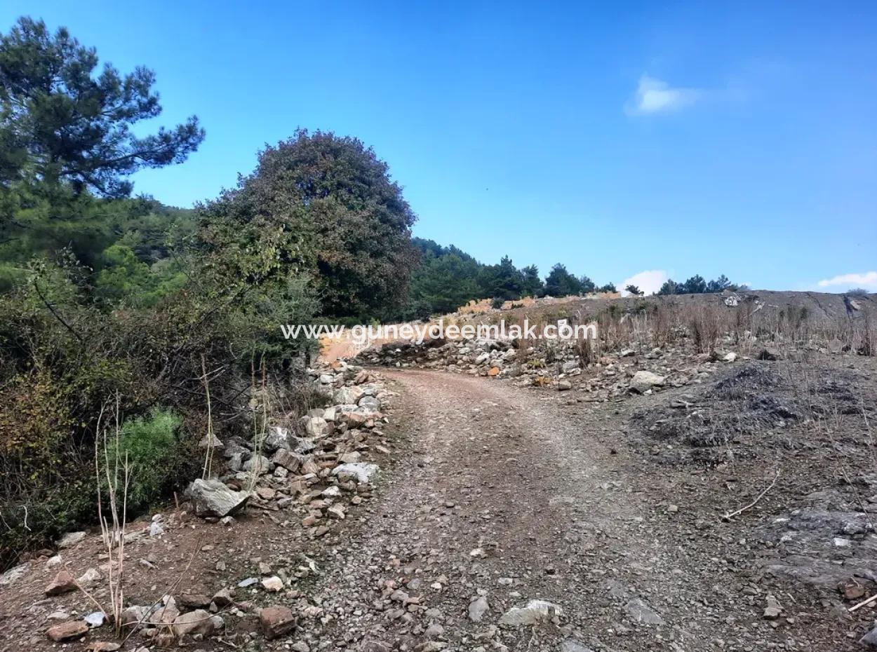 Mugla Dalyan Gökbel 320 M2 Bargain Land For Sale
