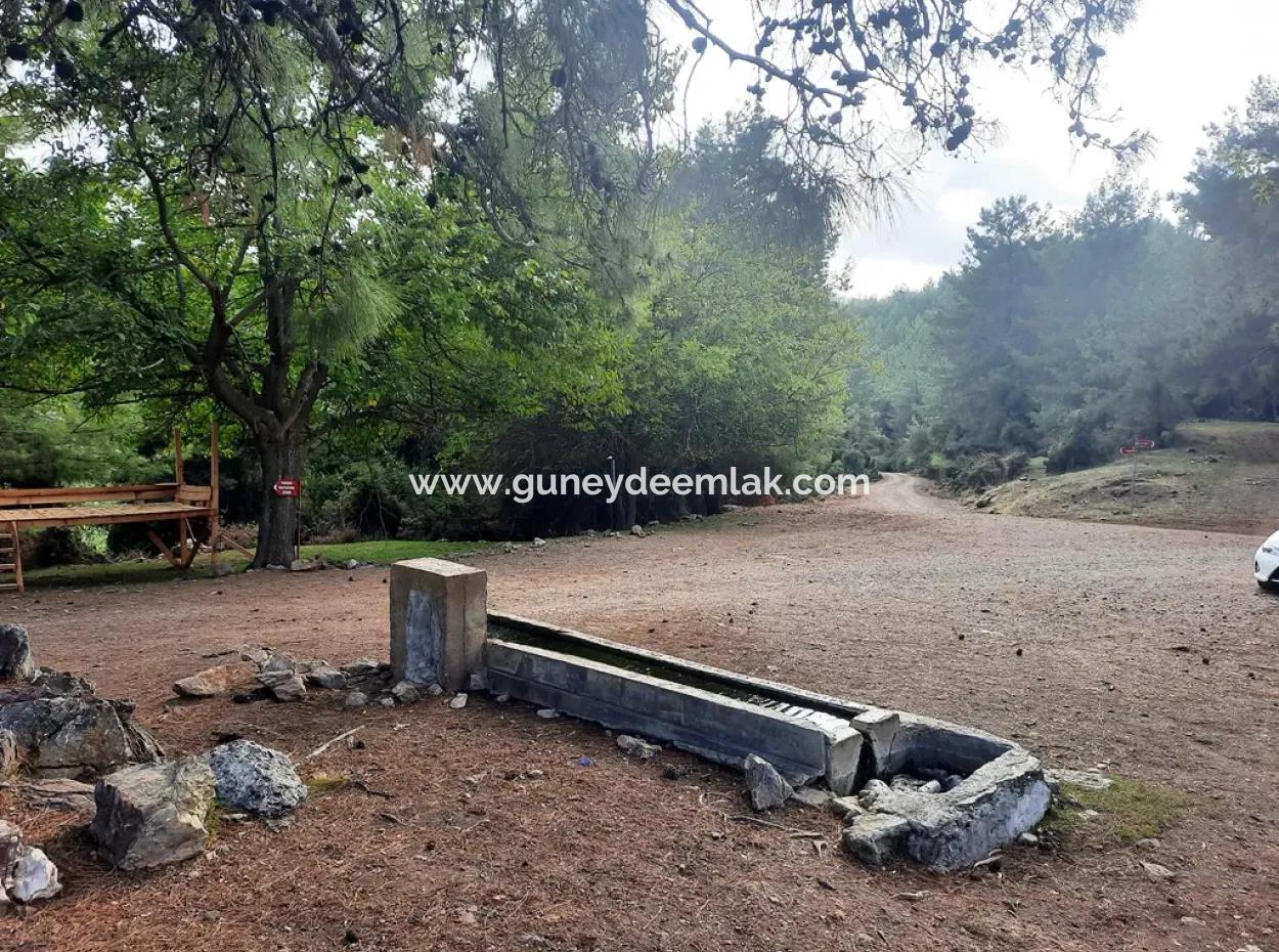 Mugla Dalyan Gökbel 320 M2 Bargain Land For Sale