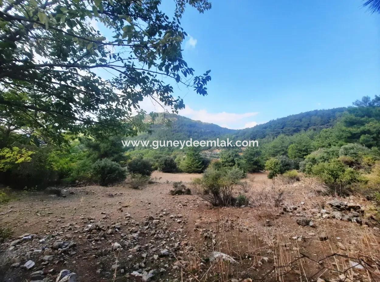 Mugla Dalyan Gökbel 320 M2 Bargain Land For Sale