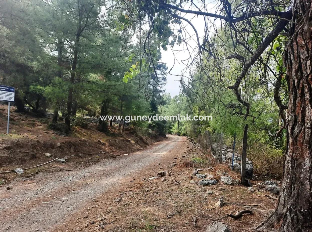 Mugla Dalyan Gökbel 320 M2 Bargain Land For Sale