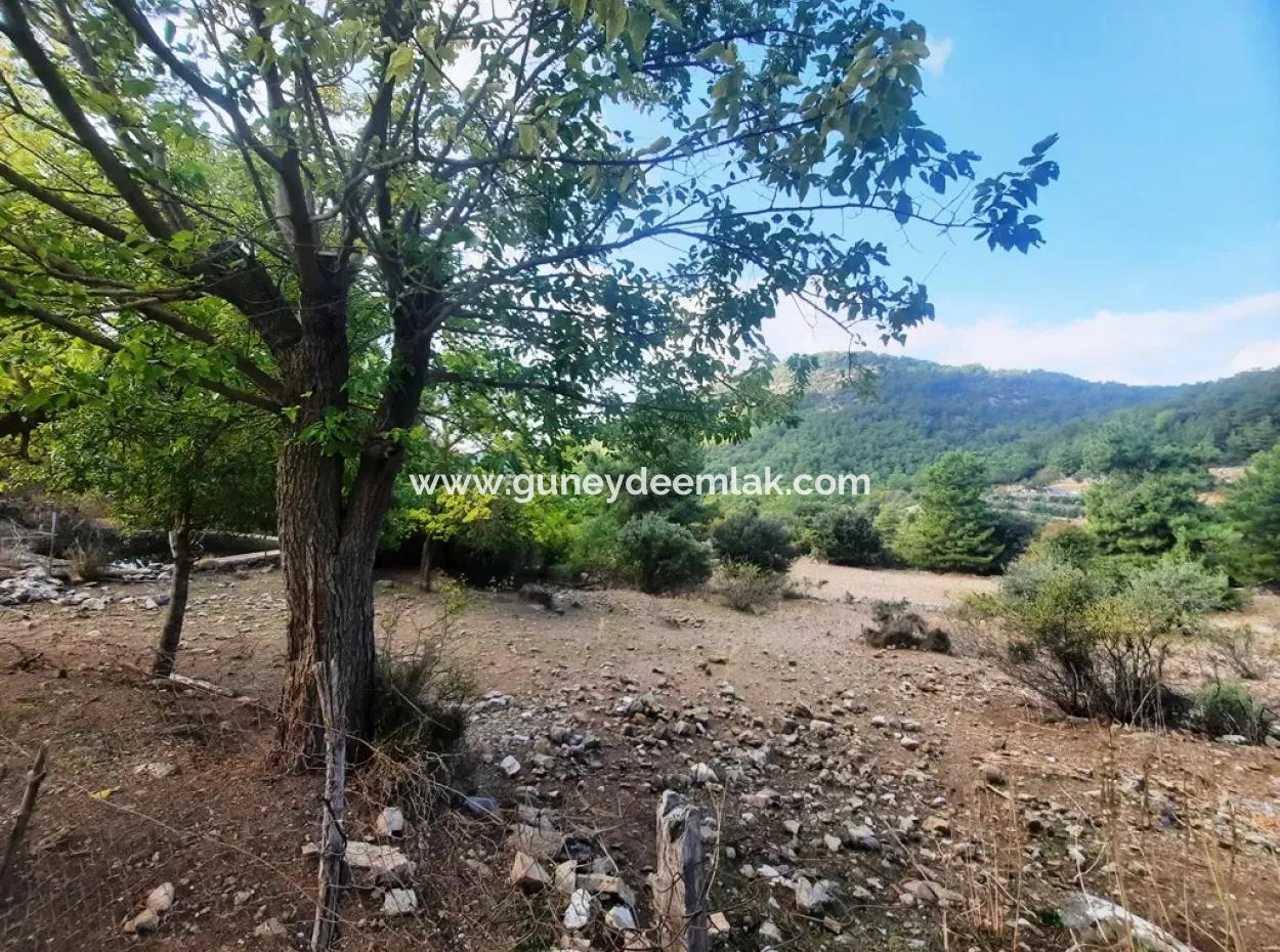 Mugla Dalyan Gökbel 320 M2 Bargain Land For Sale