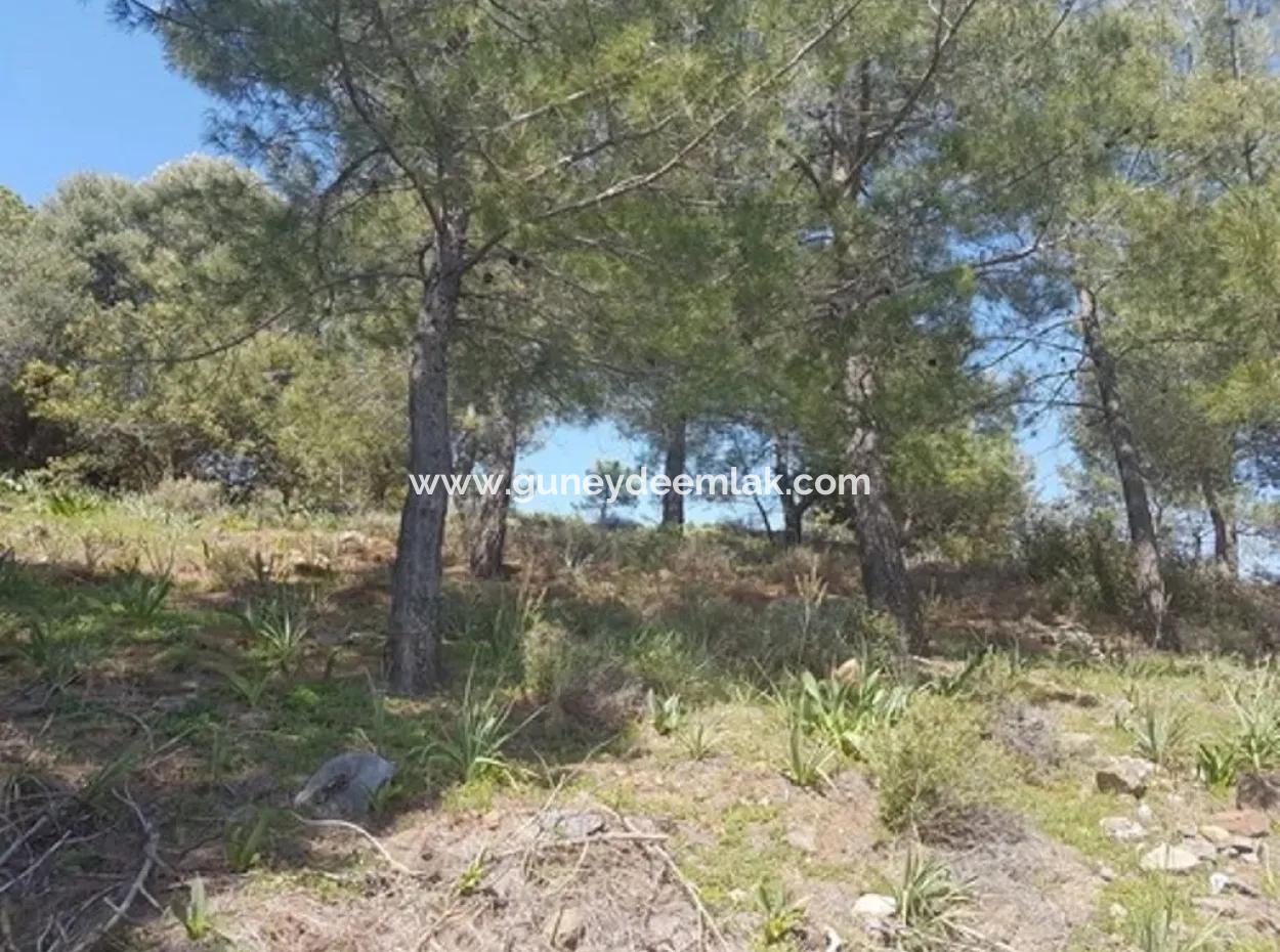 Plot With Sea Views For Sale Bargain Ortaca Sarıgerme