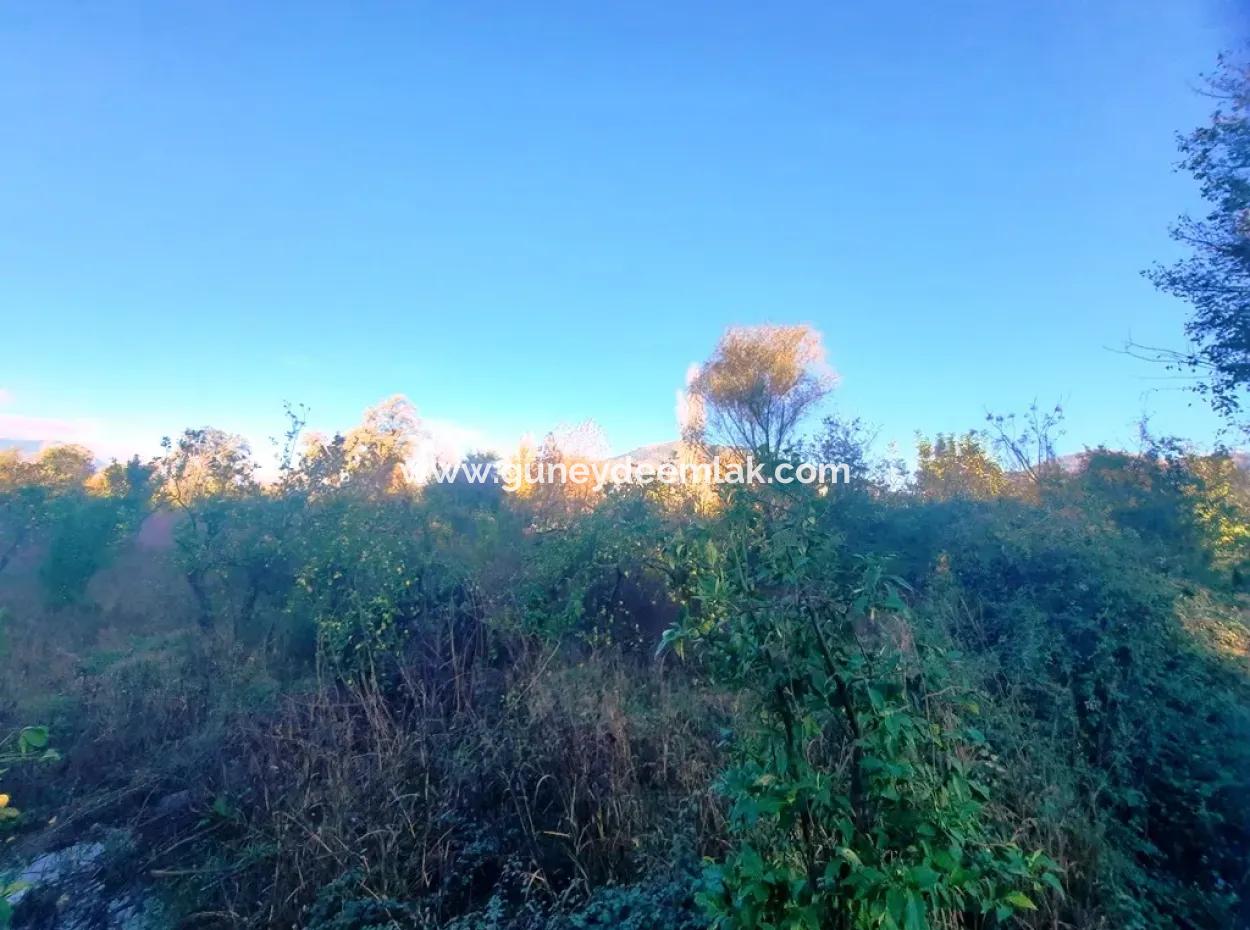 7320 M2 Bargain Lemon Garden For Sale In Ortaca Kemaliye