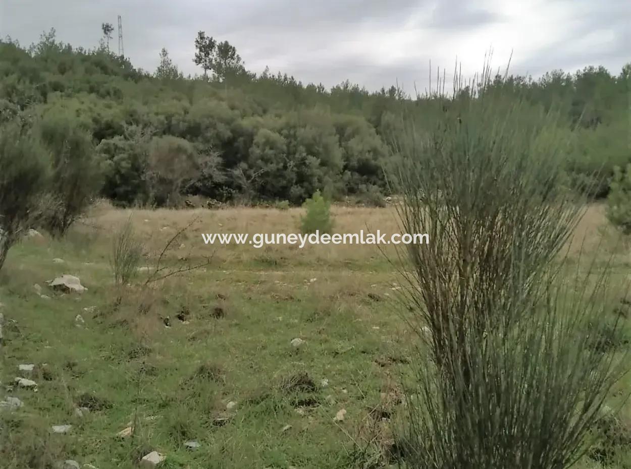 30949 M2 Fertile Field For Sale In Mugla Dalaman Gürleyik