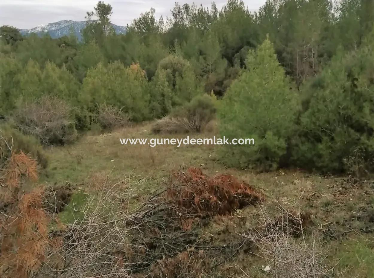 30949 M2 Fertile Field For Sale In Mugla Dalaman Gürleyik