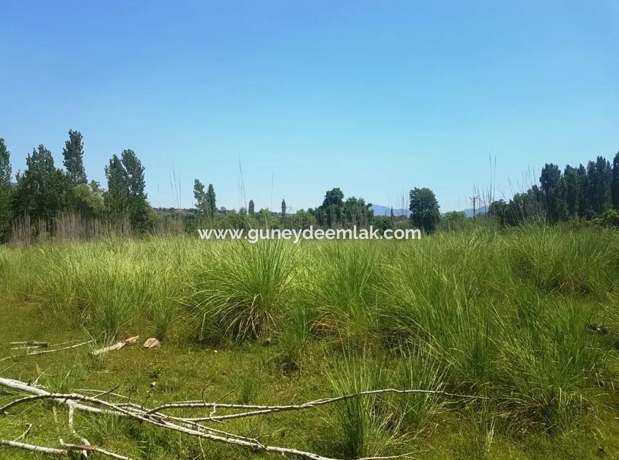3700 M2 Land For Sale In Koycegiz