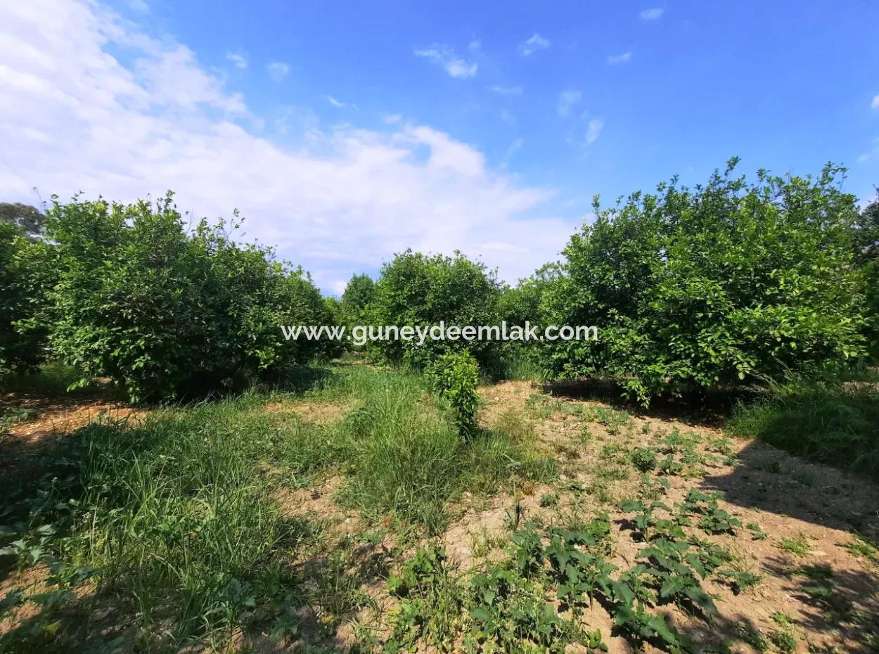Village House For Sale In Ortaca Akıncıda On A Land Of 2500 M2