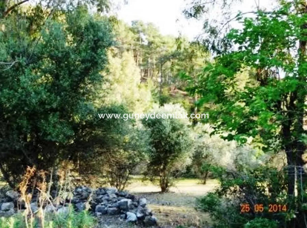 600 M2 Sea View Garden For Sale In Mugla Fethiye Eldirek