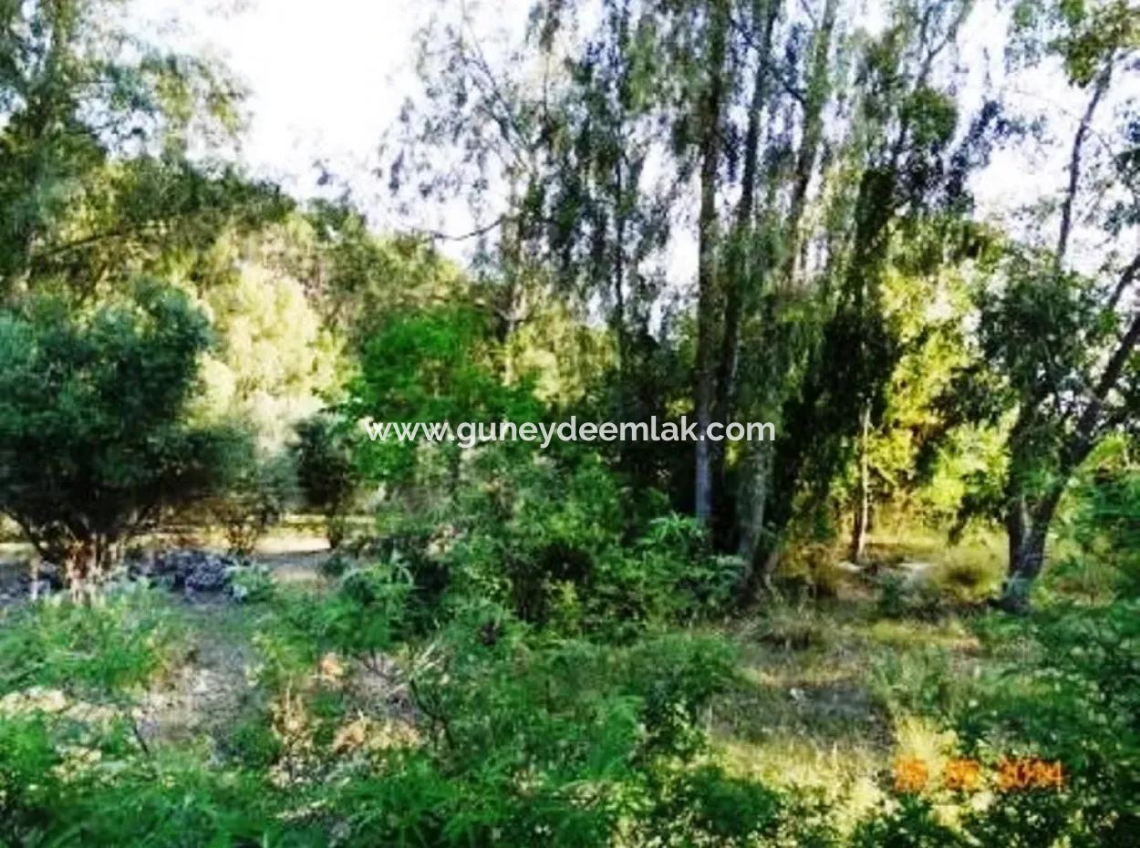 600 M2 Sea View Garden For Sale In Mugla Fethiye Eldirek