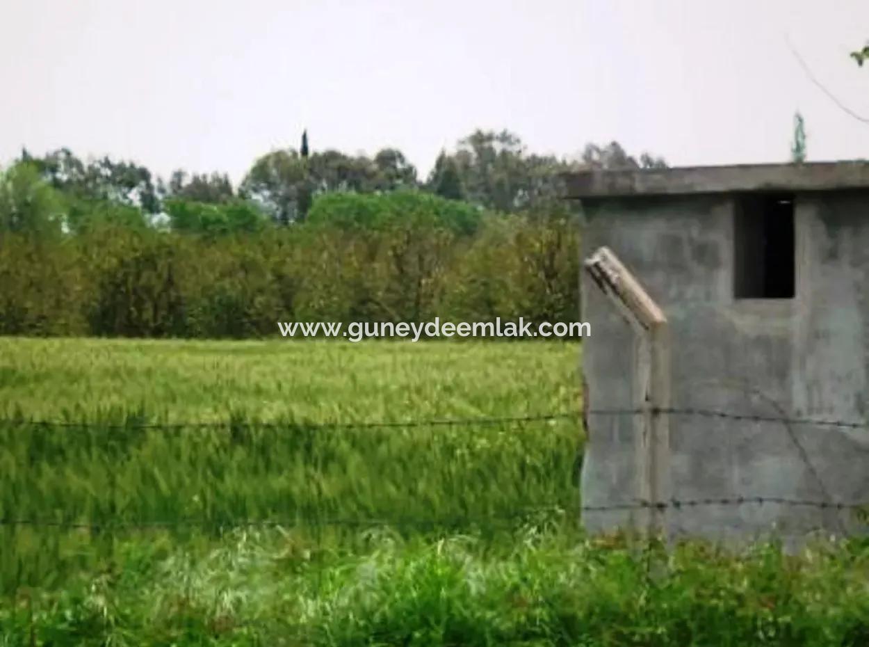 8 000 M2 Fertile Land For Sale In Muğla Ortaca Fevziye