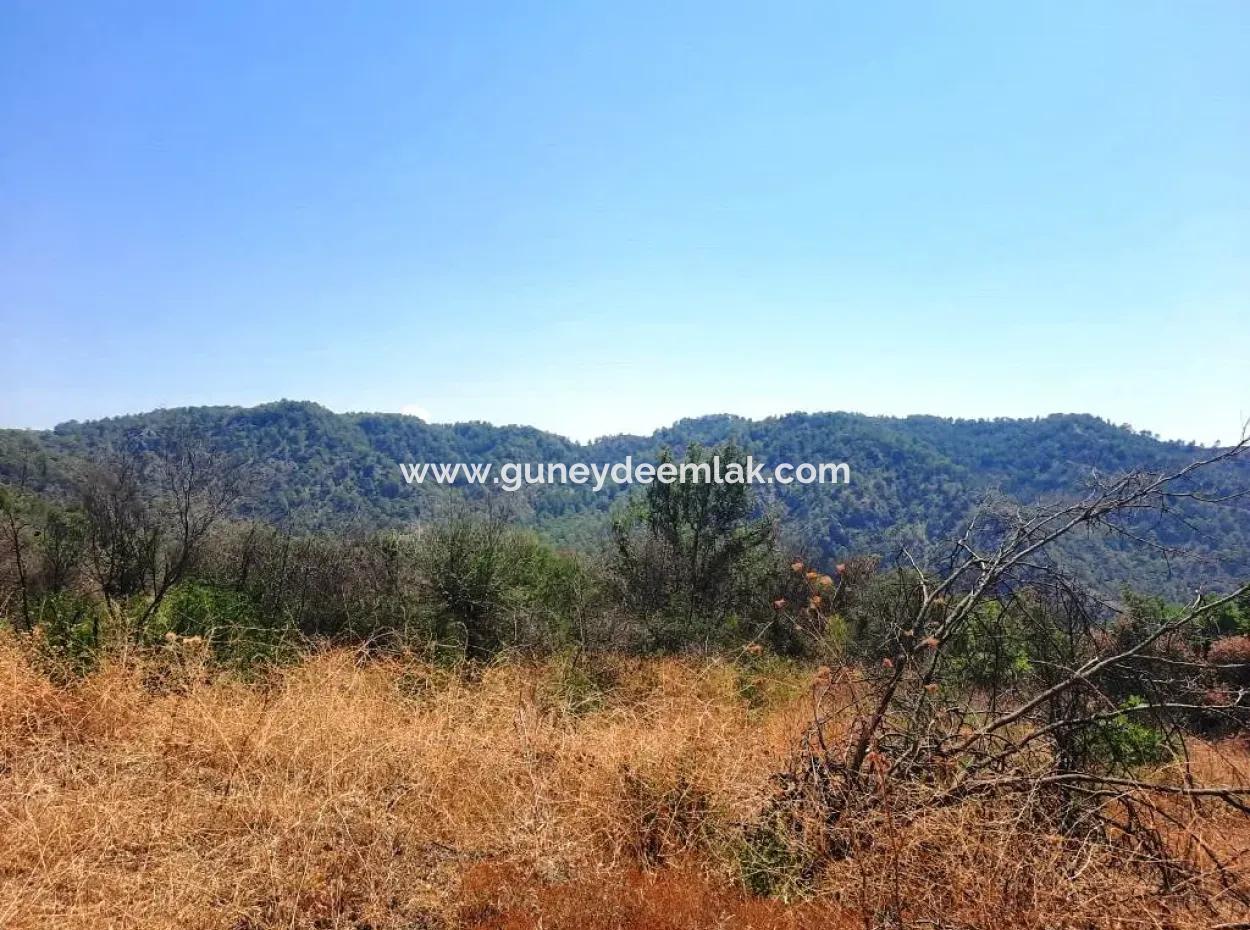 Muğla Dalaman 42.432M2 Detached Land With Title Deed For Sale