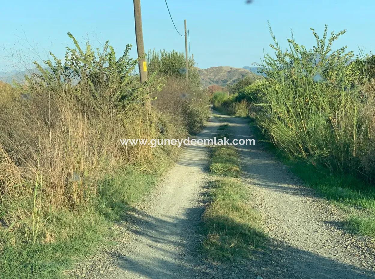 3000 M2 Of 28.394 M2 In Ortaca Güzelyurt Field For Sale