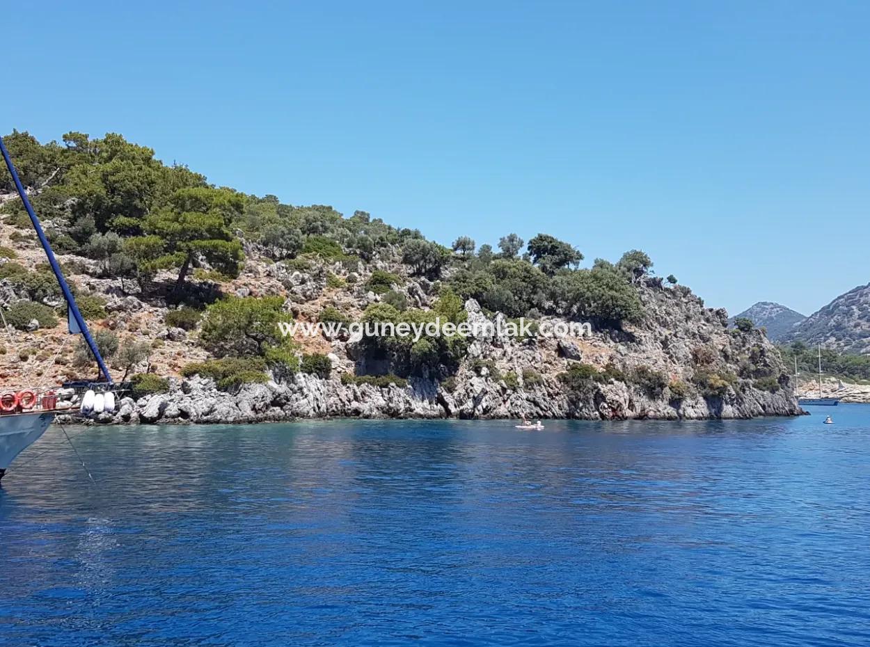 Fethiye Gocek Island Sea Side Location 2600 M2 Olive Grove For Sale