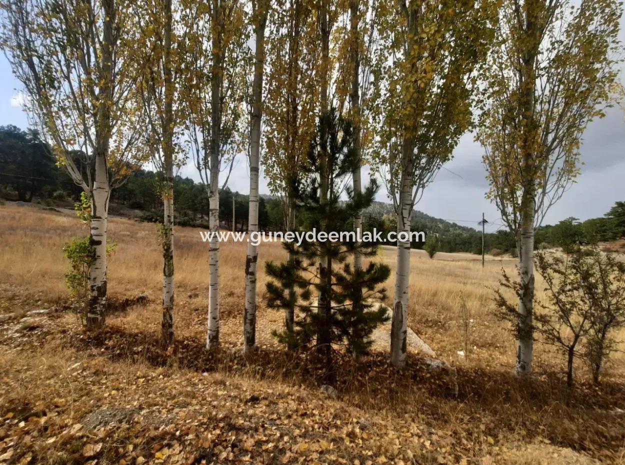 6 230 M2 Detached Land For Sale Or Exchange On The Old Acıpayam Road In Çameli Cumanda