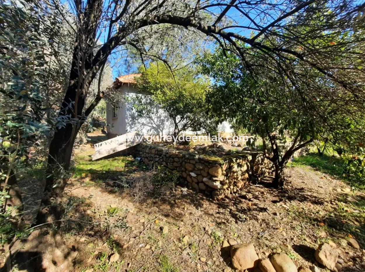 Köyceğiz Toparlarda 4 200 M2 Land Single Storey Detached House For Sale