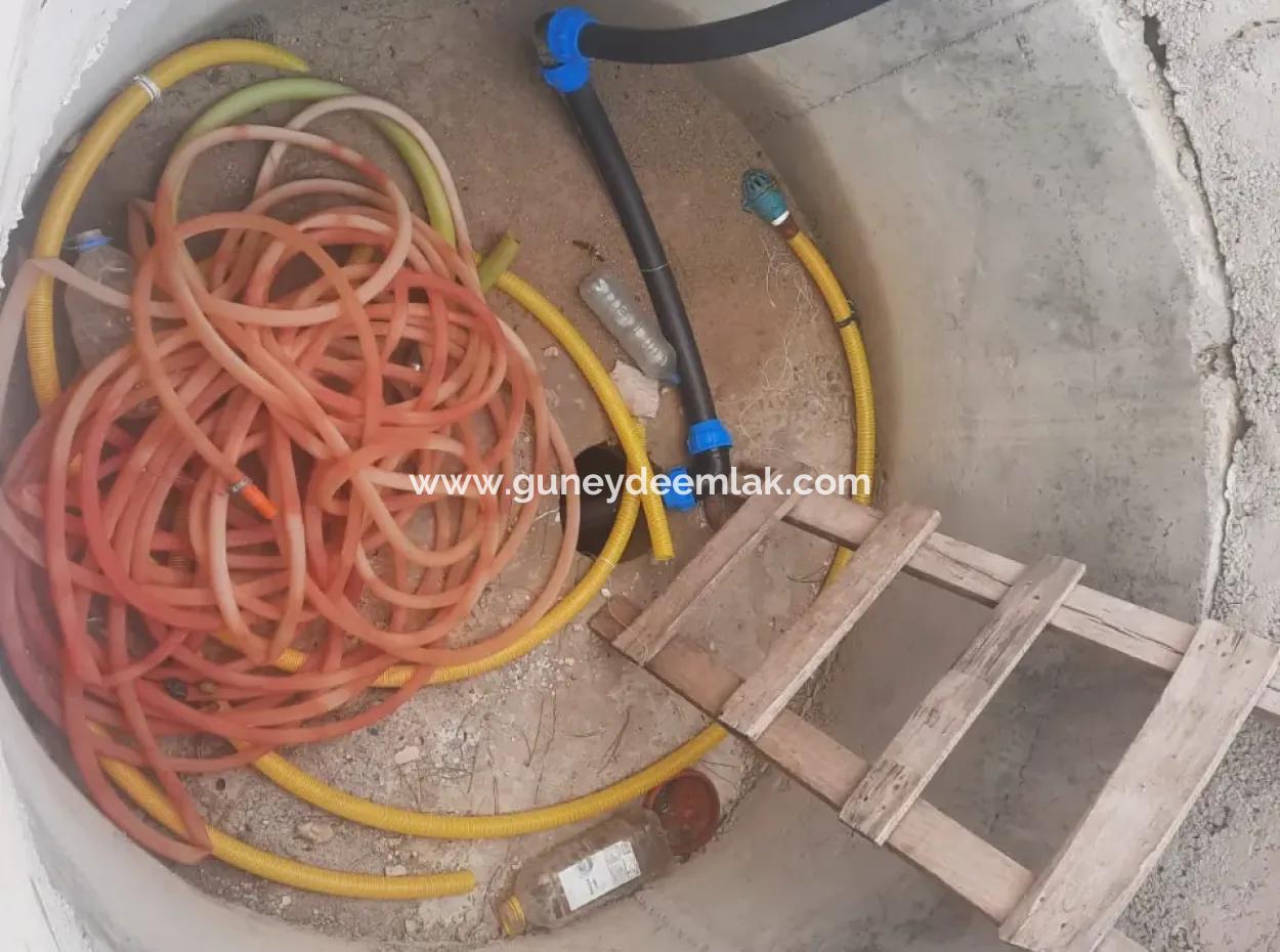 6 230 M2 Fertile Land For Rent In Çameli Cumaalanı