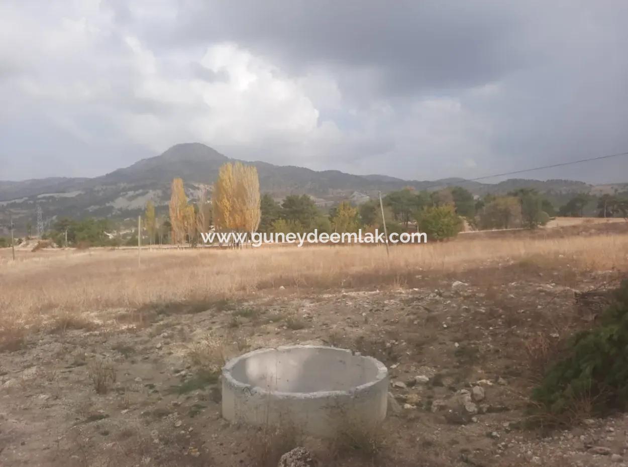 6 230 M2 Fertile Land For Rent In Çameli Cumaalanı