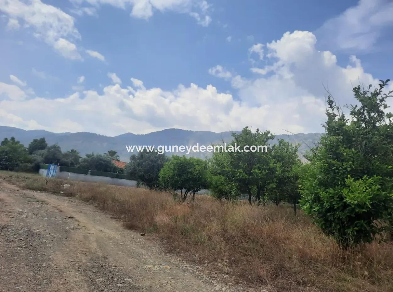 Köyceğiz Toparlar Lake View 2 100 M2 Zoned Land And 2 Houses For Sale