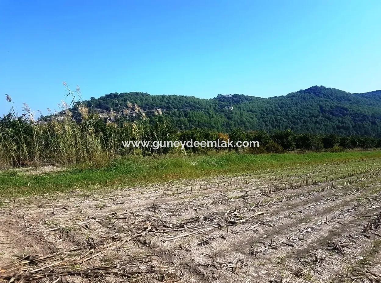 Region Of Fertile Land Rental