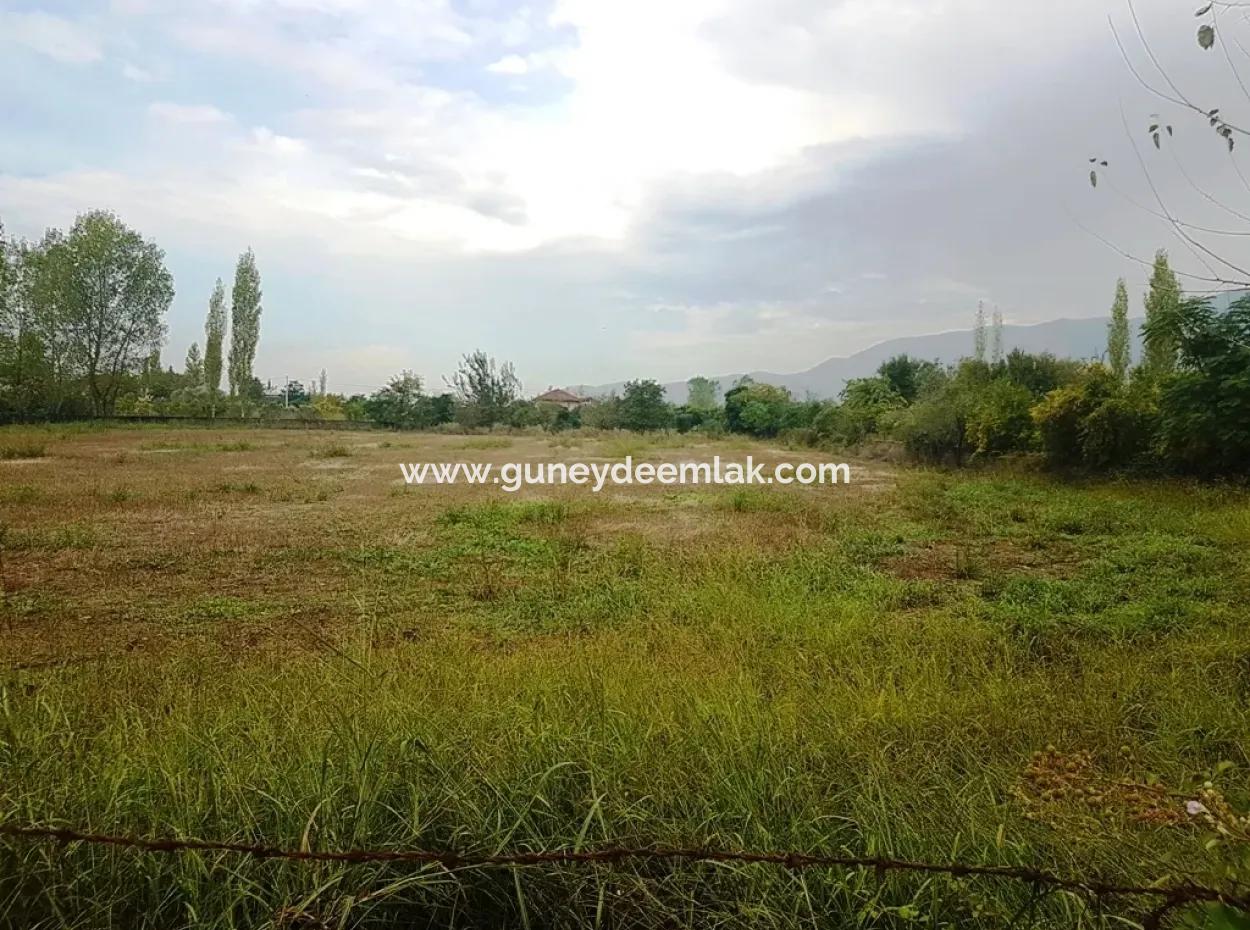 Suitable Land For Investment For Sale In Fire
