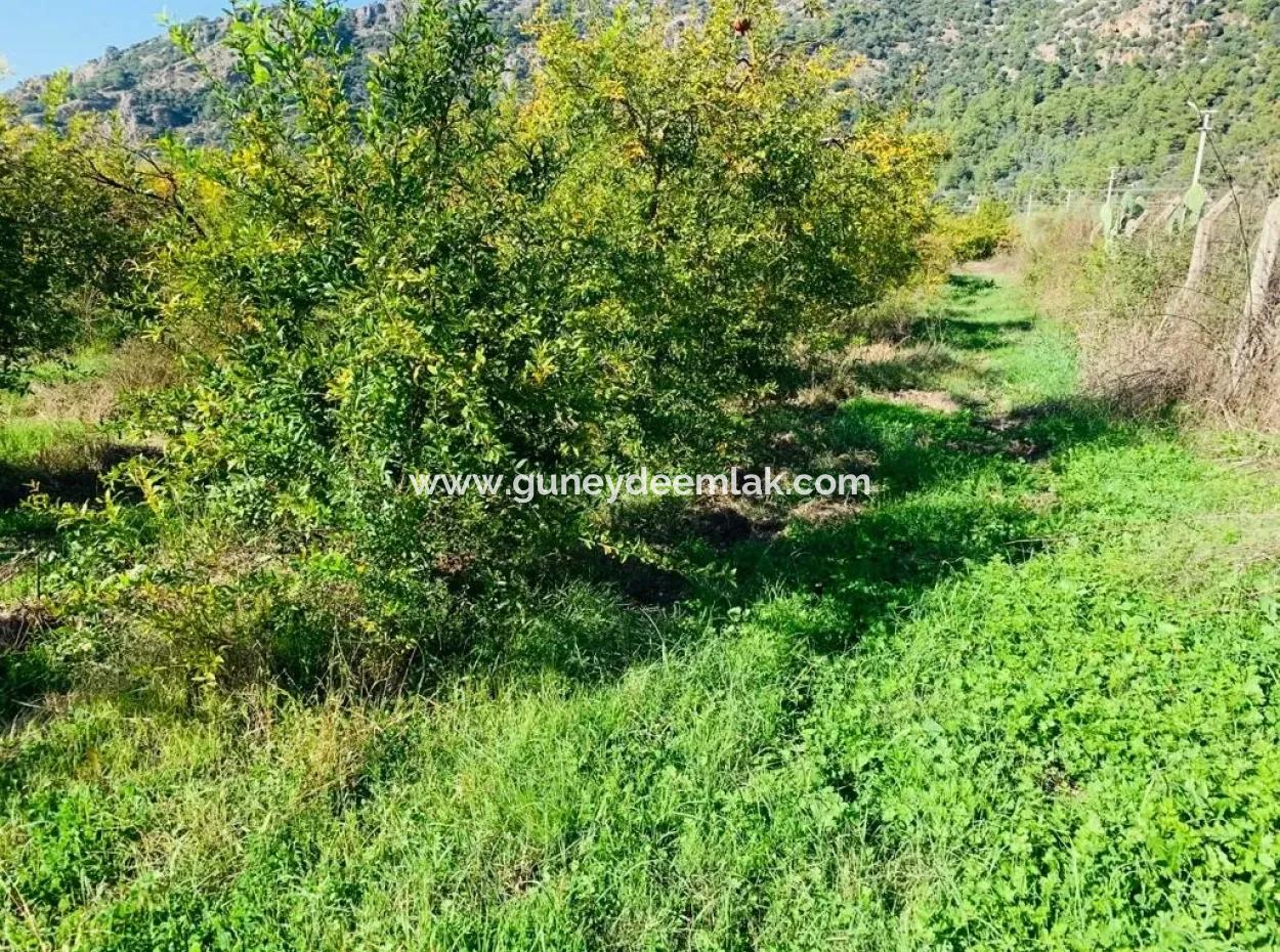 For Sale Land For Sale In Mergenli