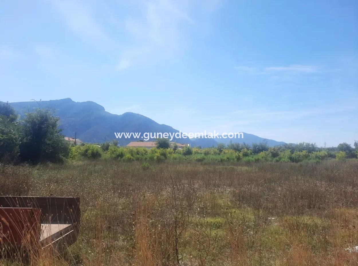 1000 M2 Land For Rent On The Street In Ortaca Dalyan Neighborhood