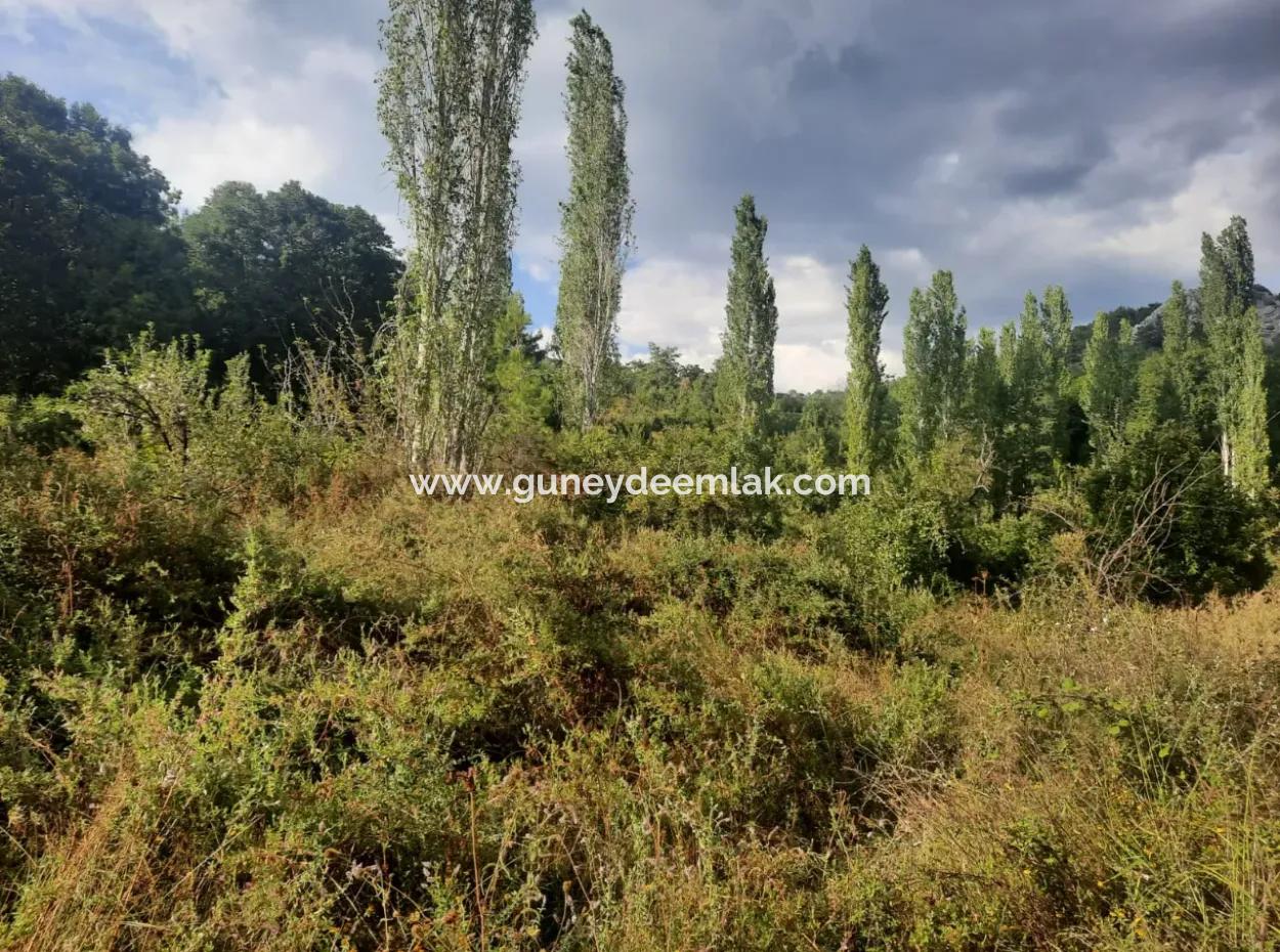 Muğla Köyceğiz Yayla Mah 795 M2 Land With Zoning For Sale