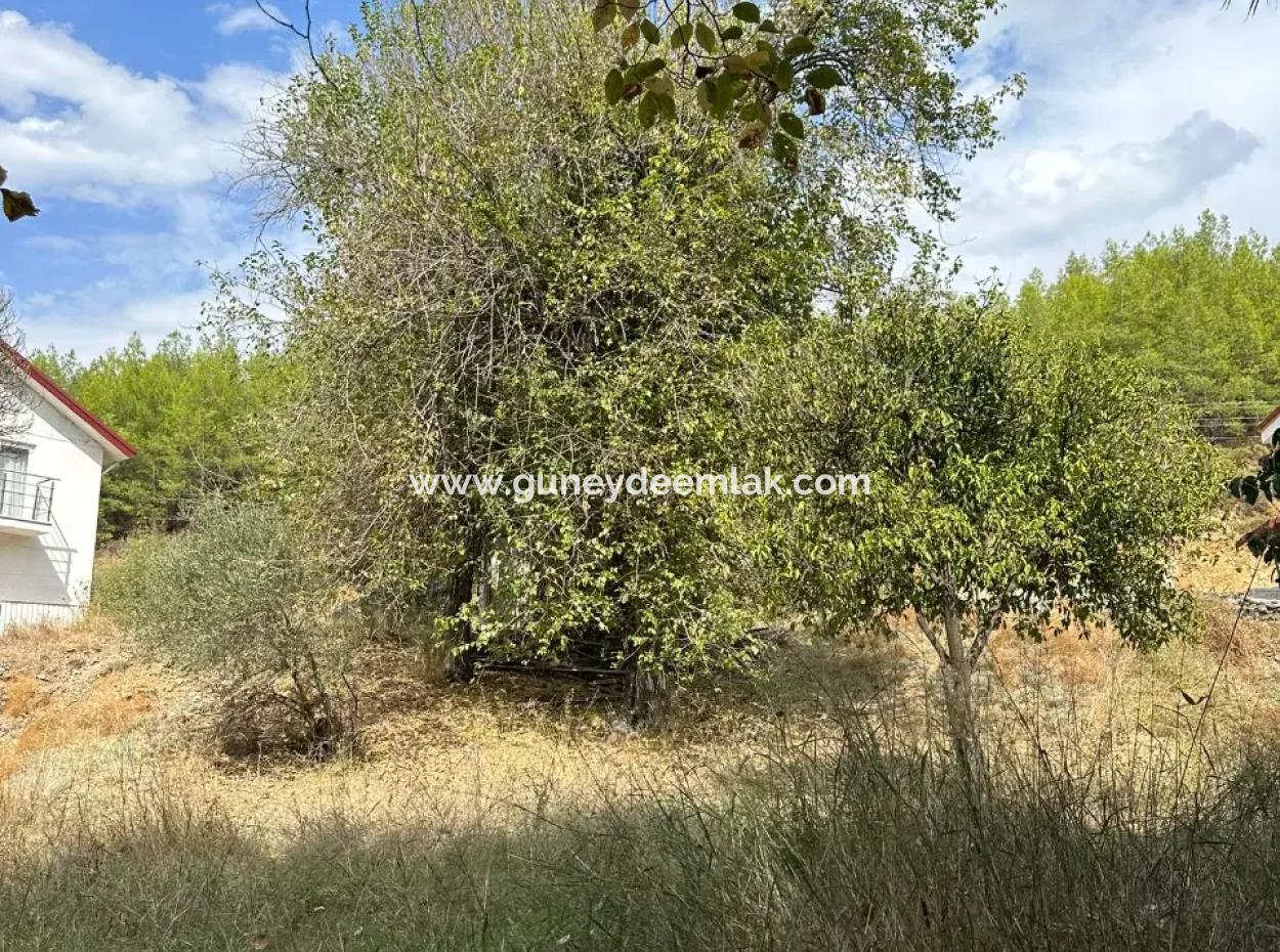 For Sale And In Koycegiz 1026 M2