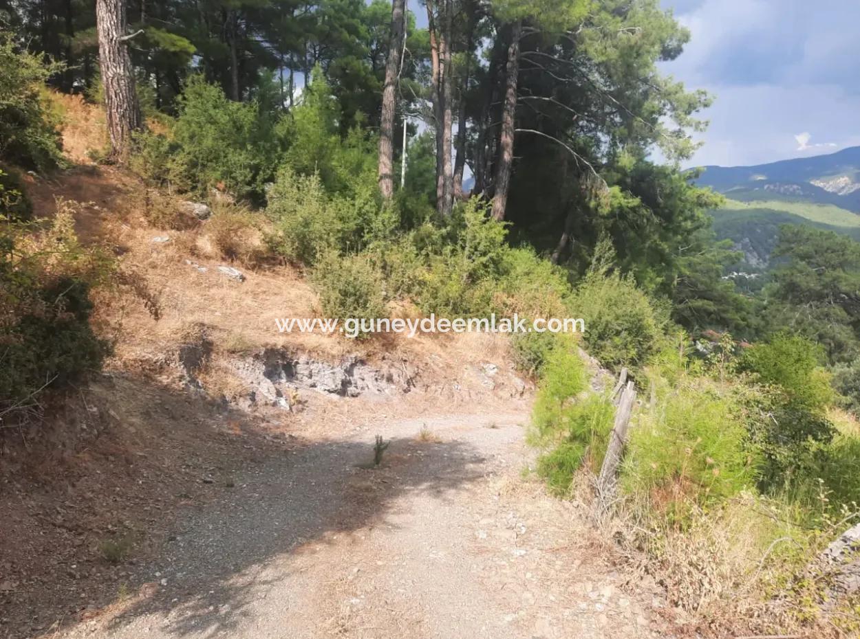 Köyceğiz Ağla Plateau 550M2 Project Ready, Zoned Bargain Land For Sale