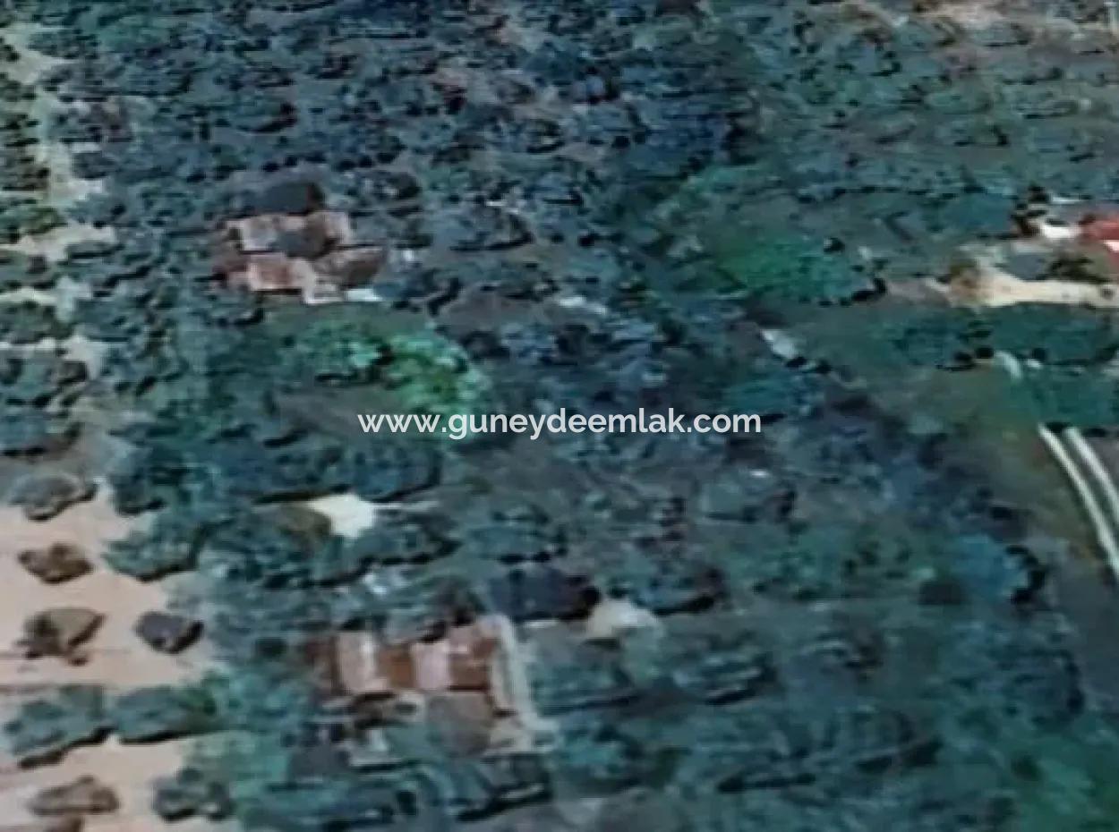 6350 M2 Field For Sale In Muğla Menteşe Kafaca