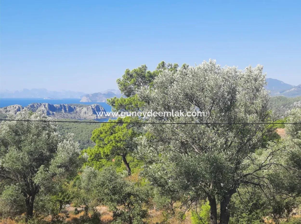 1.361 M² Investment Land With Lake And Sea View For Sale In Muğla Ortaca Gökbel