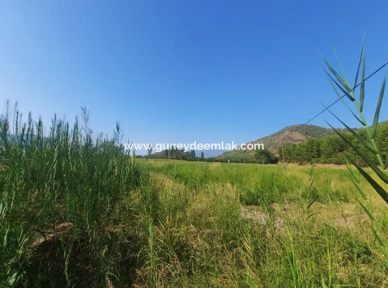Muğla Ortaca Ekşiliyurt 8.000 M2 Fertile Land For Sale