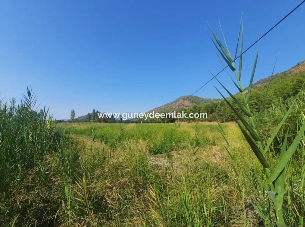 Muğla Ortaca Ekşiliyurt 8.000 M2 Fertile Land For Sale