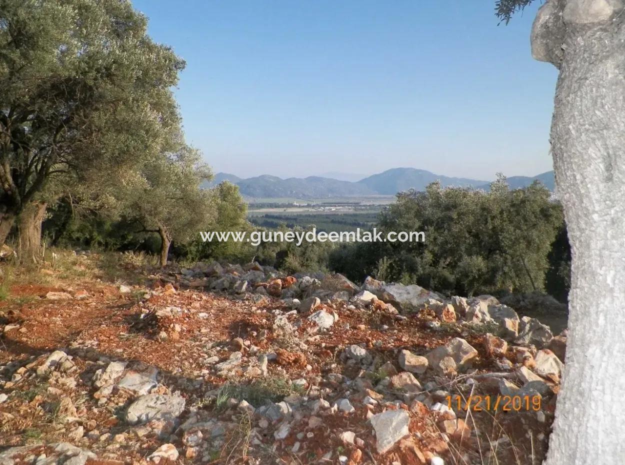 Fevziye Land For Sale With Sea View