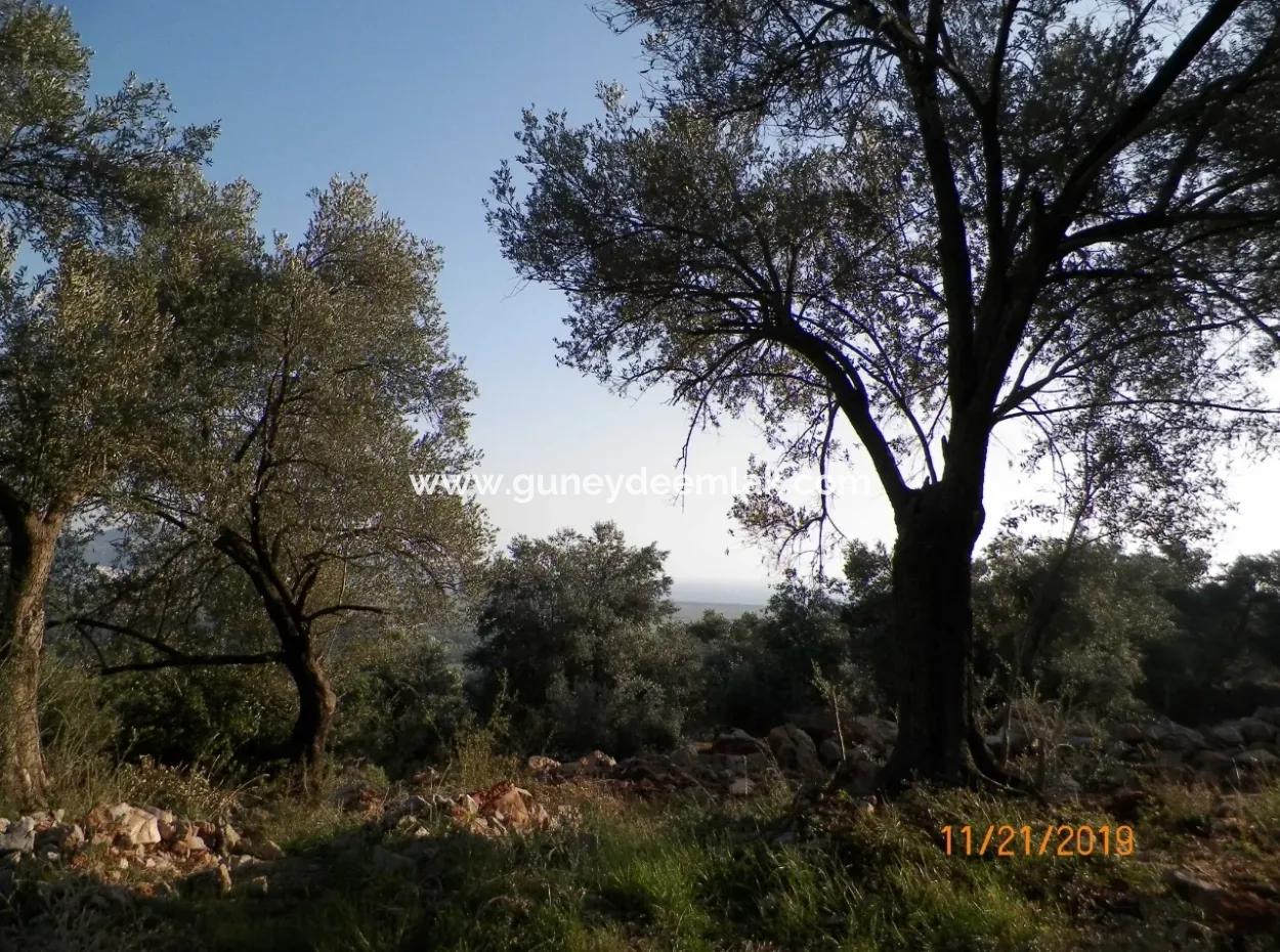 Fevziye Land For Sale With Sea View