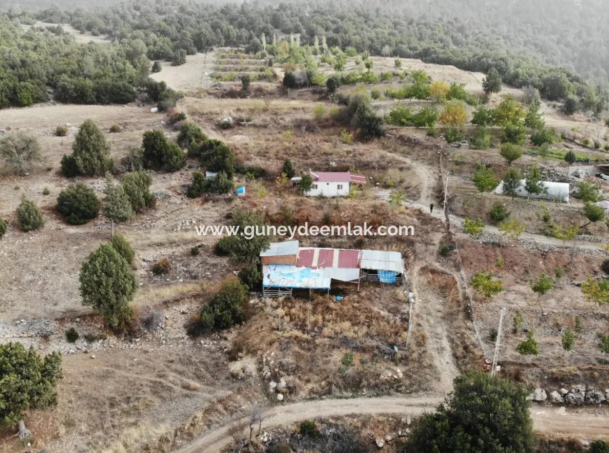 5 000 M2 Land In Çameli Kızılyaka 2 In 1 Detached House, And Barn For Rent