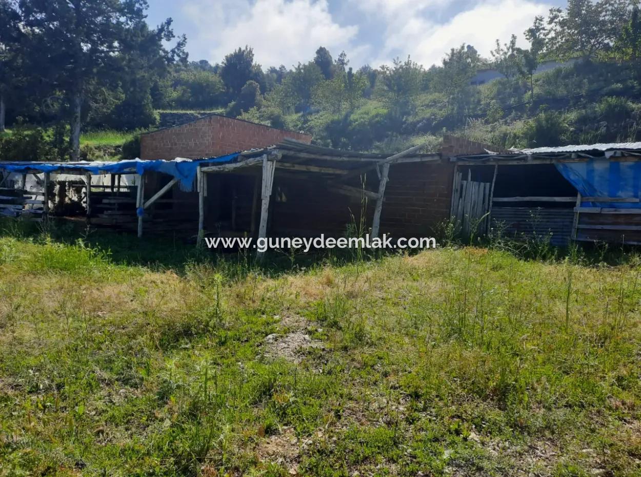 5 000 M2 Land In Çameli Kızılyaka 2 In 1 Detached House, And Barn For Rent