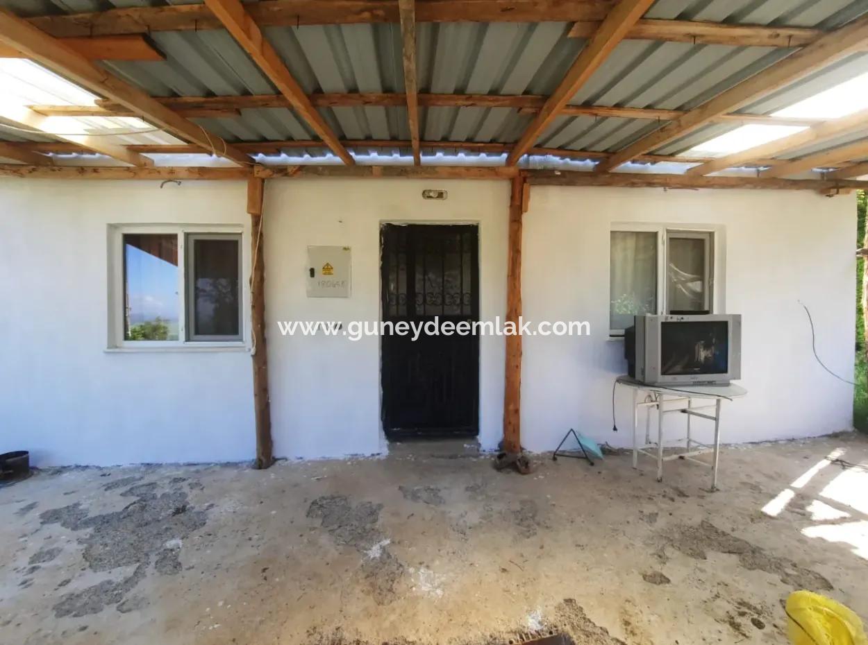 5 000 M2 Land In Çameli Kızılyaka 2 In 1 Detached House, And Barn For Rent