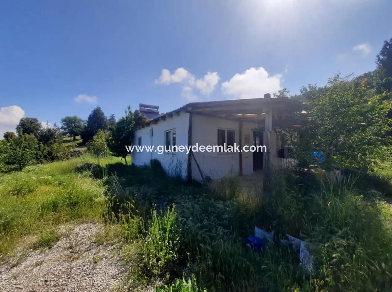 5 000 M2 Land In Çameli Kızılyaka 2 In 1 Detached House, And Barn For Rent