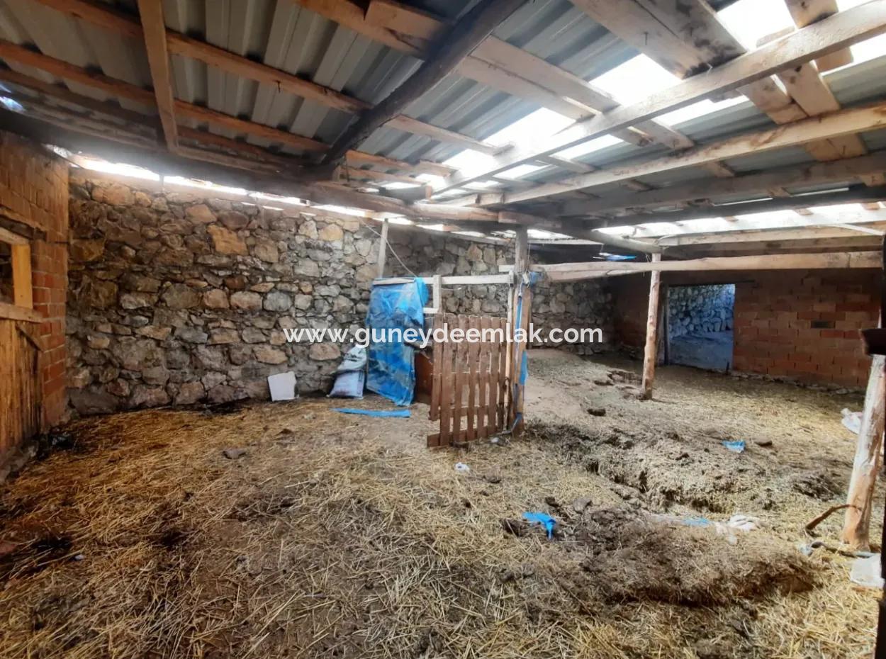 5 000 M2 Land In Çameli Kızılyaka 2 In 1 Detached House, And Barn For Rent