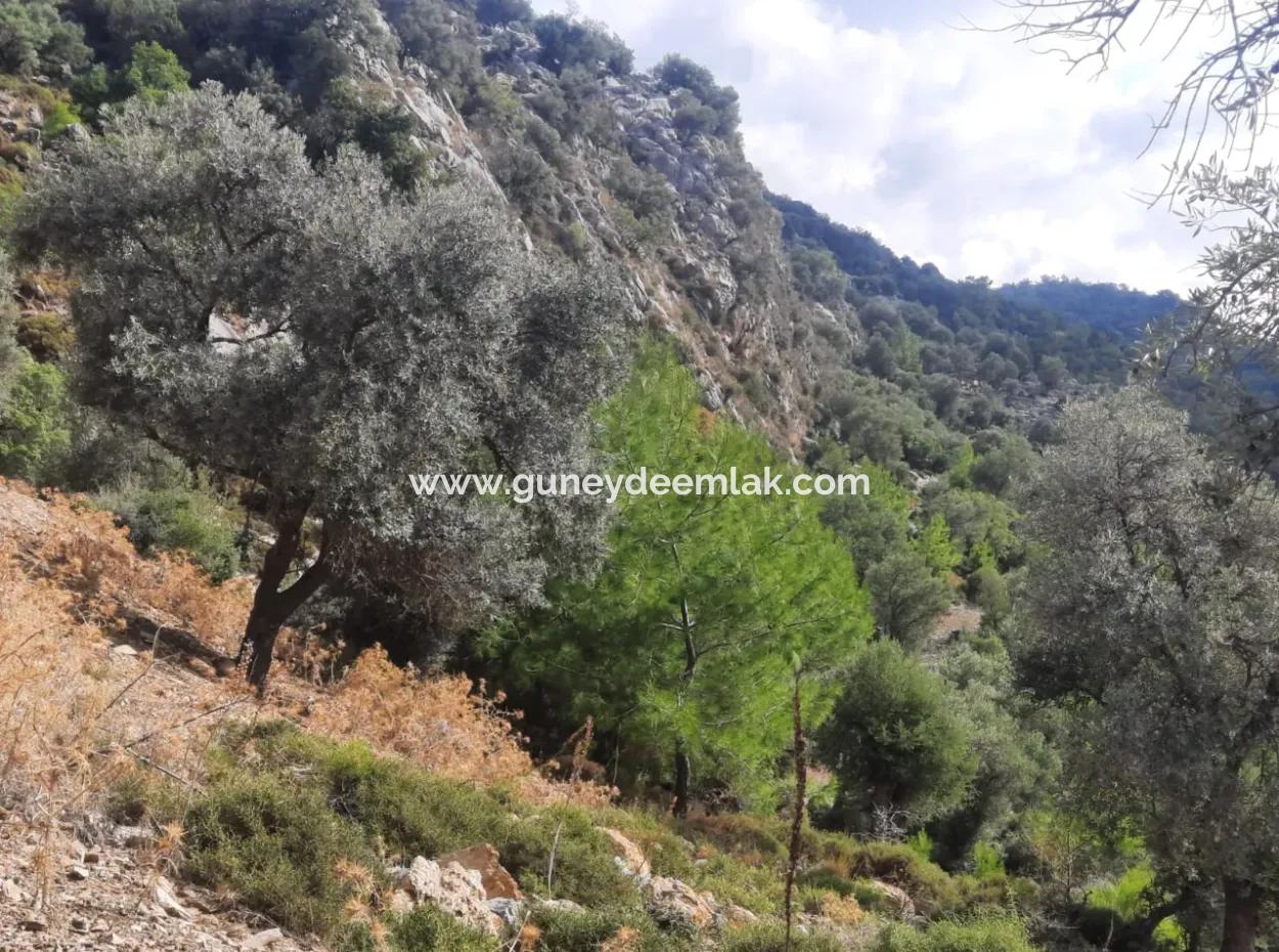 Muğla Dalyan Gökbelde 7 270 M2 Detached Title Deed Sea And Lake View Land For Sale